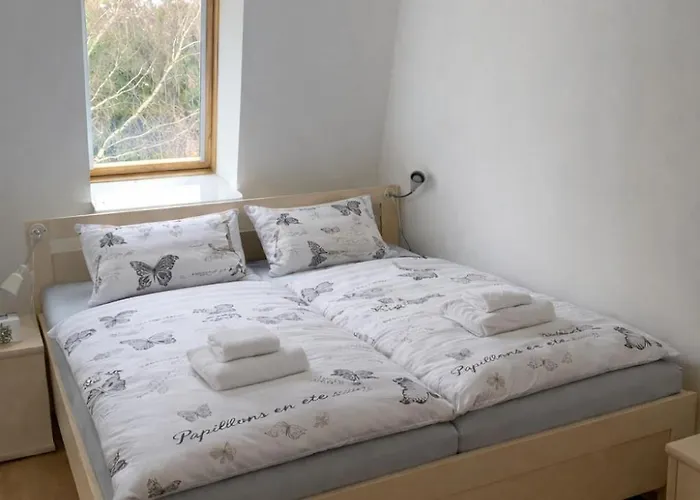 Ramzova Comfort *